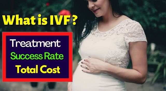 IVF In Vitro Fertilization treatment