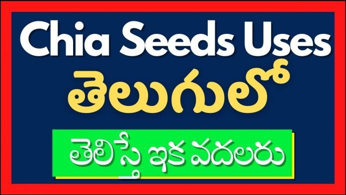 Chia Seeds In Telugu 2021