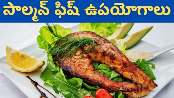 Salmon Fish Benefits And Side Effects In Telugu 2021