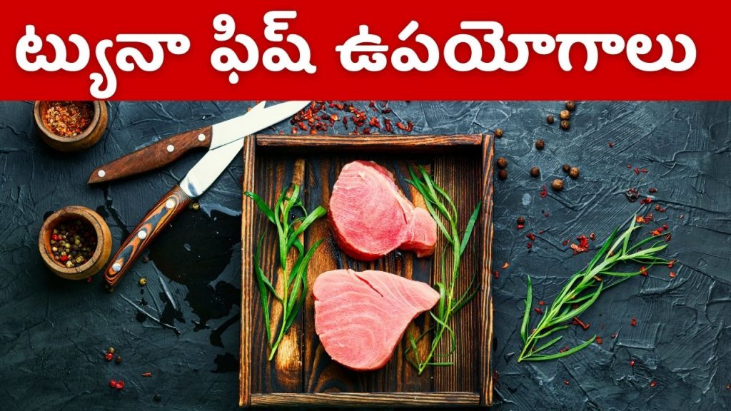 ట్యునా చేపల వల్ల మనకు ఎన్ని లాభాలో మీకు తెలుసా ? Tuna fish in telugu