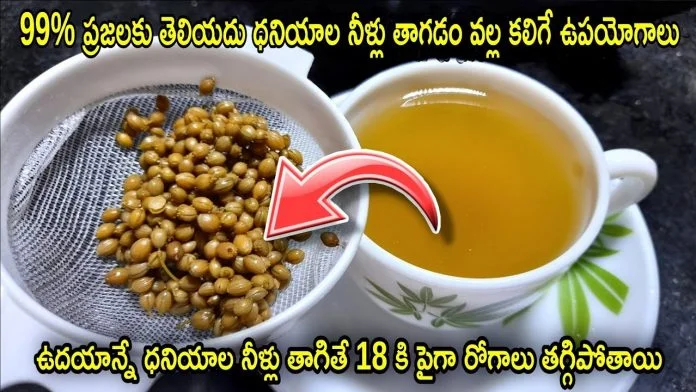 Coriander seeds water benefits in telugu