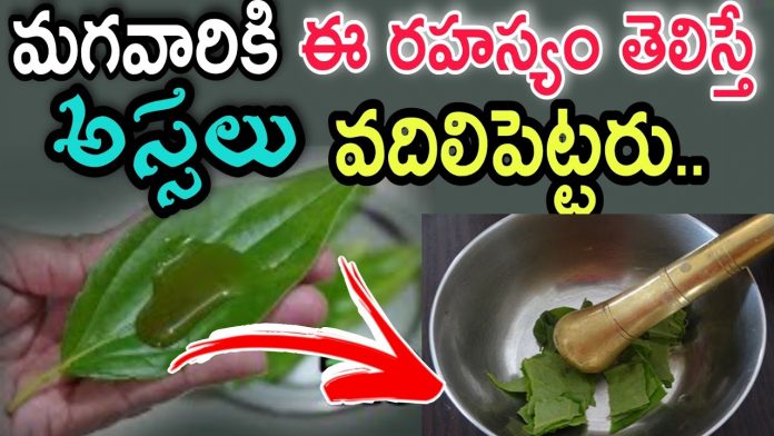 Tamalapaku benefits in telugu -betel leaf benefits for male