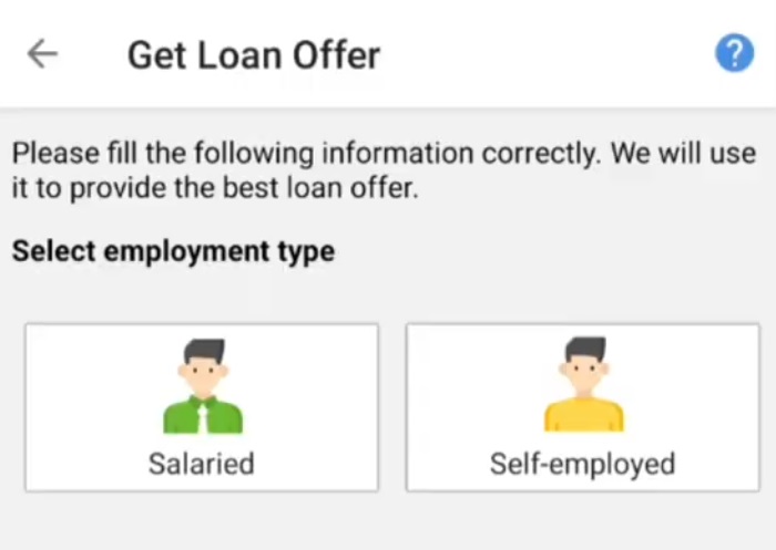 money view personal loan app employment type