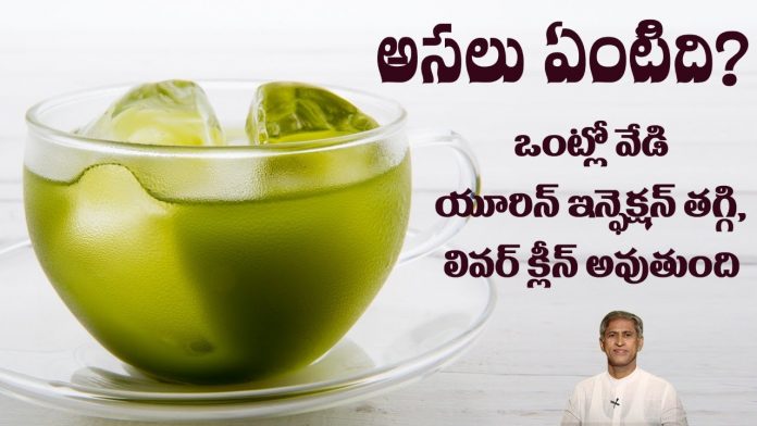 Urine infection home remedy in telugu