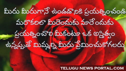 funny quotes in telugu for whatsapp