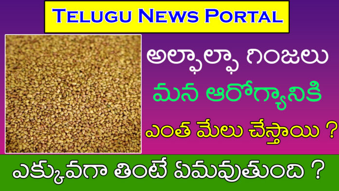 Alfalfa seeds in Telugu uses
