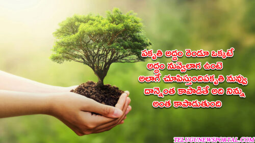 motivational nature quotes in telugu