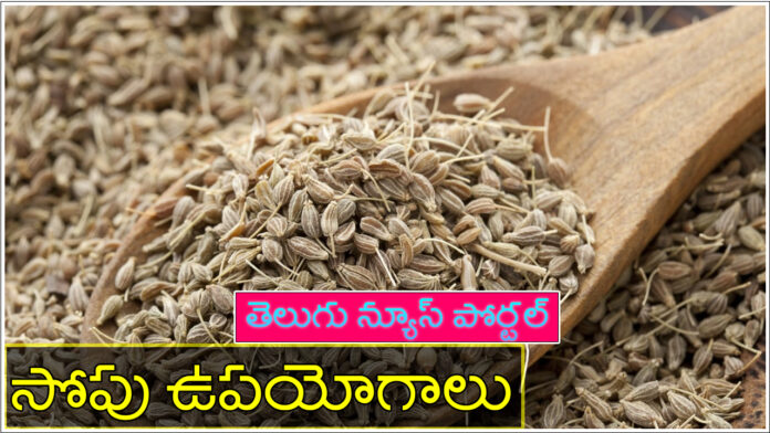 anise seeds in telugu benefits