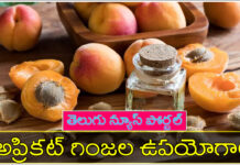 నేరేడు పండు గింజలు వలన ఉపయోగాలు, దుష్ప్రభావాలు ! apricot seeds in telugu benefits