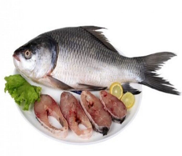 bocha fish in telugu