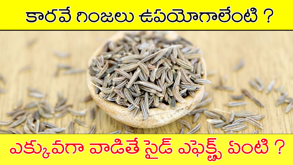 కారవే గింజల వలన కలిగే ఉపయోగాలు, దుష్ప్రభావాలు