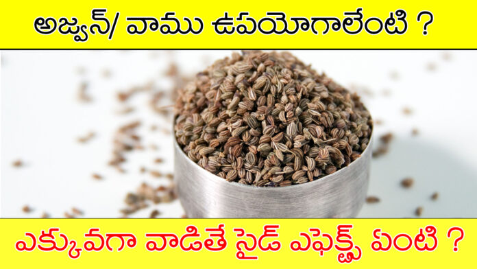 carom-ajwan seeds in telugu