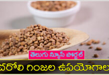 చరోలి గింజలు వలన ఉపయోగాలు, దుష్ప్రభావాలు ! charoli seeds in telugu benefits