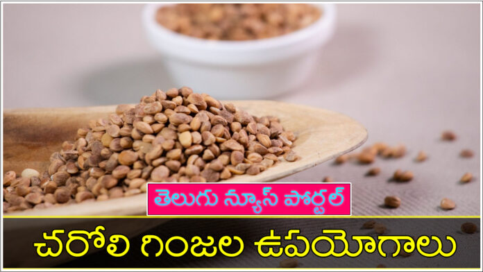 charoli seeds in telugu benefits