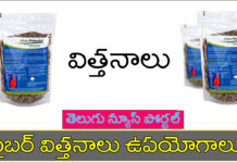 ఫైబర్ ప్రిమ్విటల్ గింజలు వలన ఉపయోగాలు, దుష్ప్రభావాలు ! fiber primvital seeds in telugu benefits