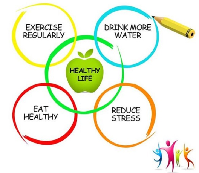 health is wealth essay in telugu
