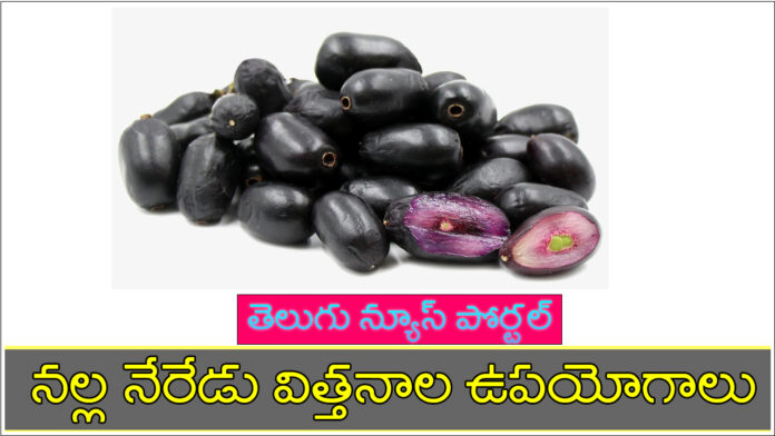 jamun seeds in telugu benefits
