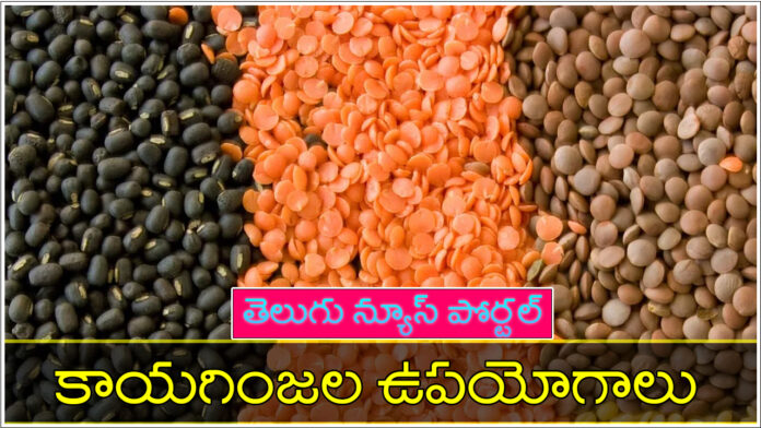 lentil seeds in telugu benefits