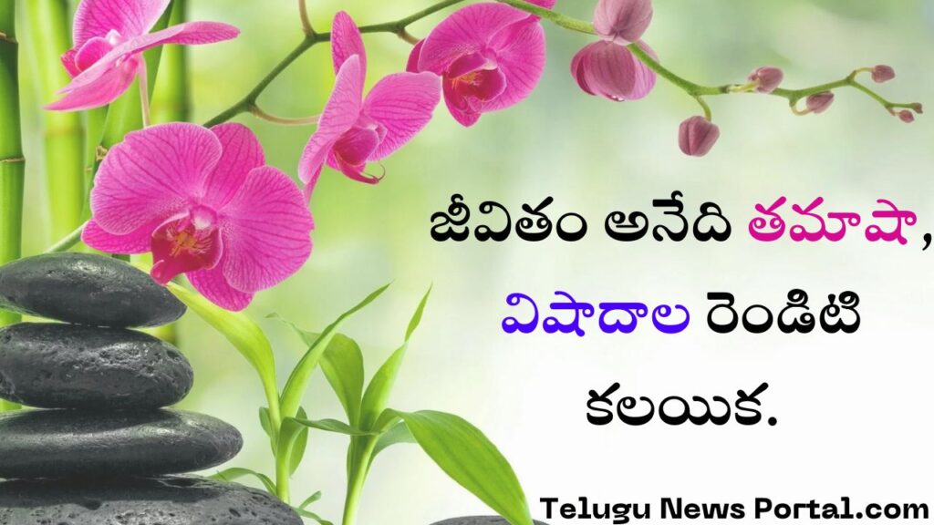 Jeevitham Quotes in Telugu