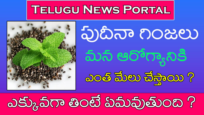 mint seeds in Telugu uses