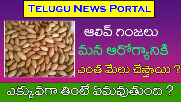 olive seeds in Telugu uses