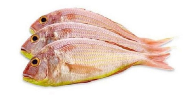 Pink Perch Fish In Telugu