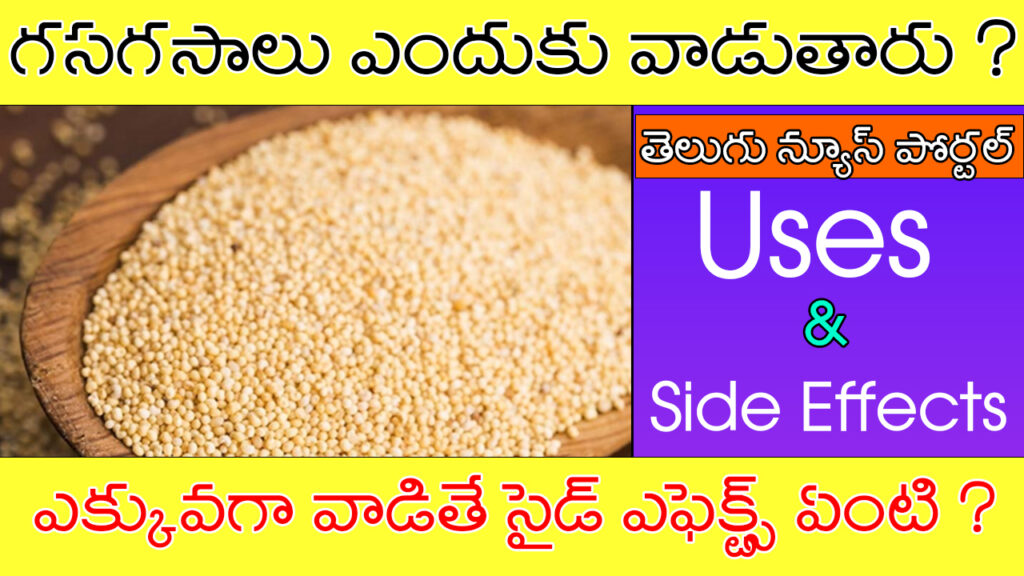 Poppy Seeds In Telugu గసగసాలు వలన ఉపయోగాలు