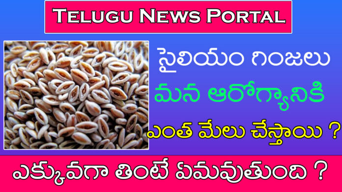 psyllium seeds in Telugu uses
