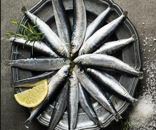 sardine fish in telugu