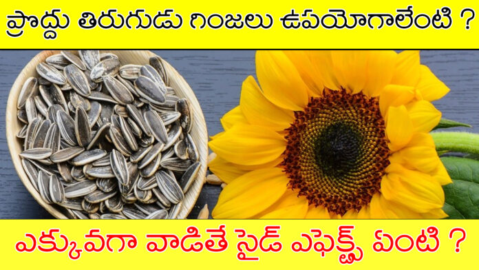 sun flower seeds in telugu