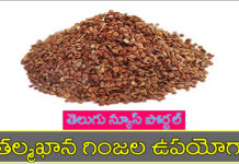 తల్మఖానా విత్తనాలు వాటి ద్వారా కలిగె ప్రయోజనాలు మరియు దుష్ప్రభావాలు talmakhana seeds in telugu benefits