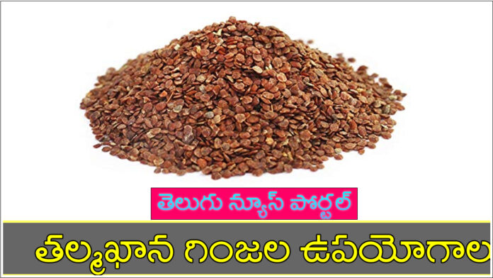 talmakhana seeds in telugu benefits