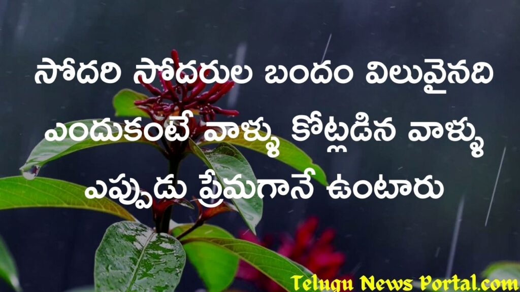 brother love quotes in telugu