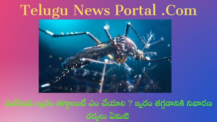 Malaria Fever In Telugu