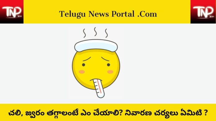Fever And Cold Features In Telugu