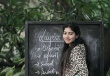 గార్గి సినిమా మూడో  రోజు బాక్స్ ఆఫీస్ కలెక్షన్ ఎంత అనగా ! Gargi cinema Day3 Collection