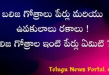 బలిజ గోత్రాలు పేర్లు వాటి ఉపకులాలు రకాలు ! బలిజ గోత్రాలు