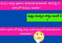 పుట్టు మచ్చల శాస్త్రం అంటే ఏమిటి ! పుట్టుమచ్చల శాస్త్రము