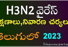 H3nN2 Symptoms And Treatment తెలుగులో H3N2 Symptoms And Treatment in telugu