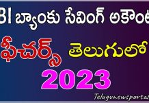 SBI Savings Accounts Full Details In Telugu