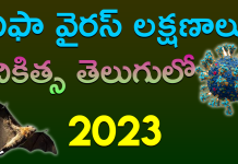Nipah Virus Symptoms And Treatment In Telugu 2023 nipah virus in telugu 2023